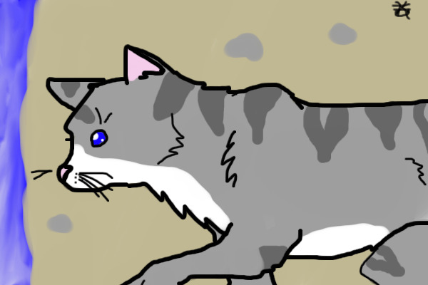 Guess the Warrior Cat
