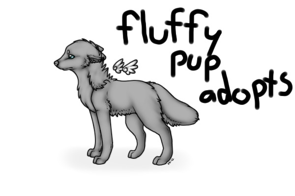 Fluffy Pup Adopts