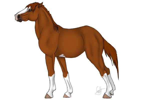 Mare 6