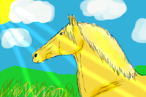 Sunny the horse