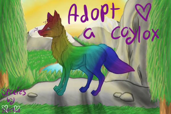 Adopt a Coylox <3