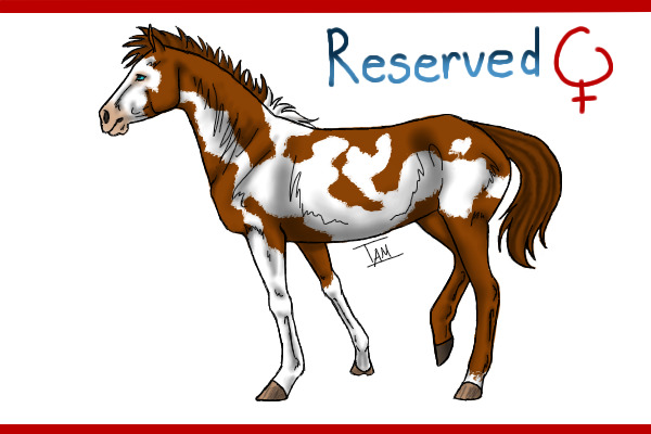 From Mare 2: Chestnut Overo Filly