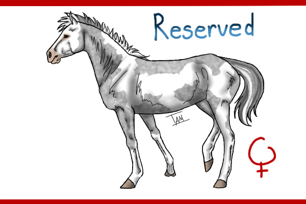 From Mare 4: grey overo filly