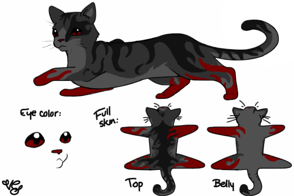 Gray/Black/Red Fire Cat Design