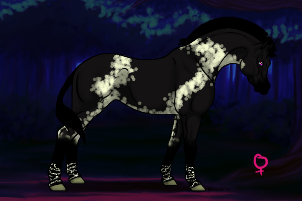 dark horse