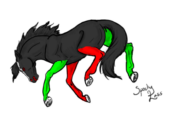 new horse