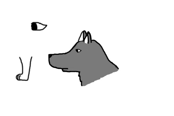 Wolf (eye, head, and paw)