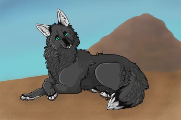 Kieve