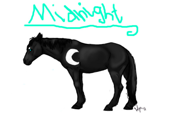 Character Midnight