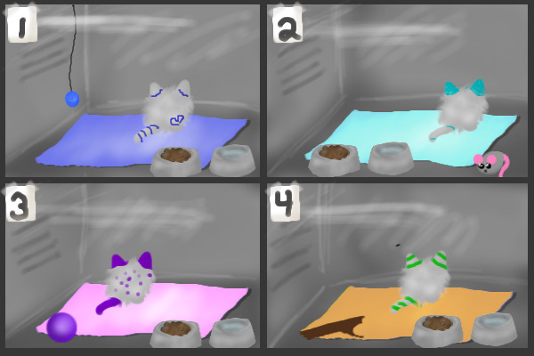 kitty adoptables