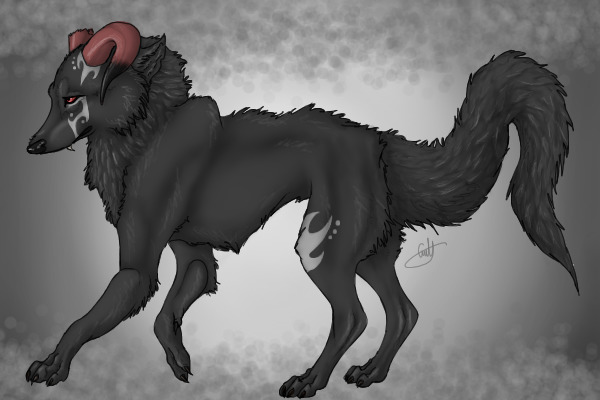 Demon Lupus -- new species?