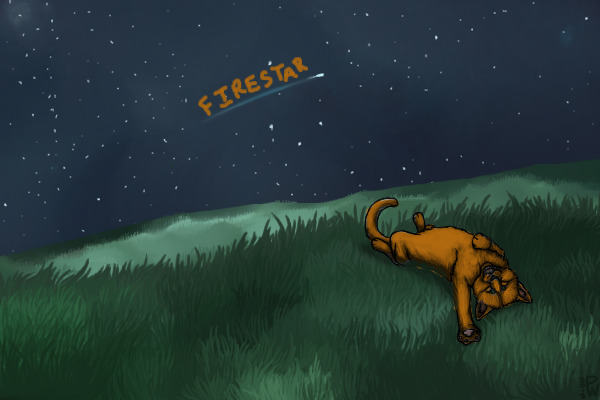 Firestar Gazing At Sky (Recoloring of "Star Cat")