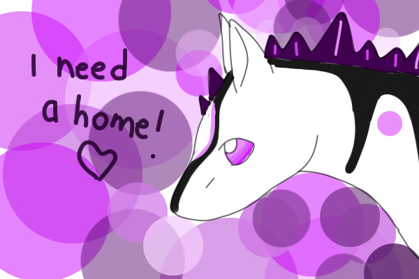 Dmd art