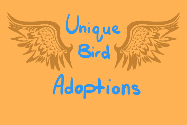 Unique Bird Adoptions - Closing