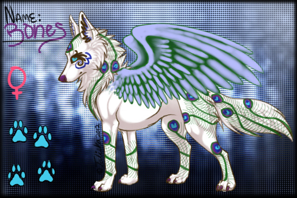 Bones ~ The Peacock Wolf ~ Contest Entry
