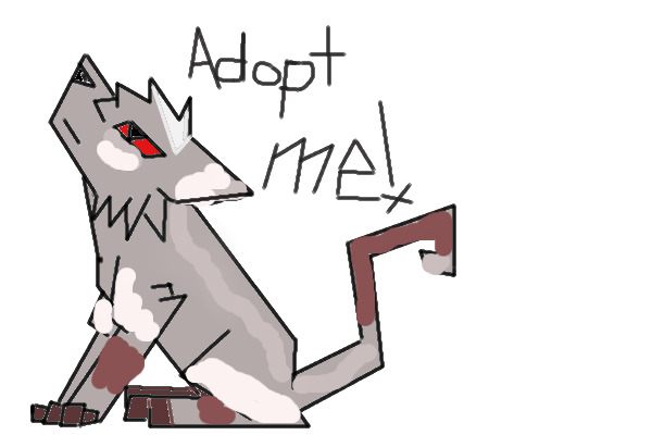 Adopt this kitten