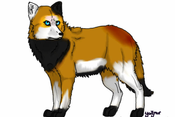 FOxy