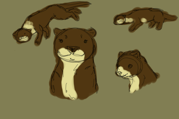 Otter Sketches