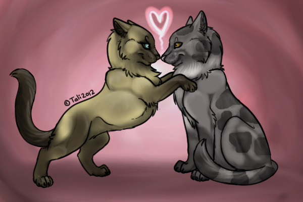 Cat love - colored