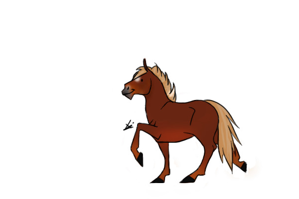 My Miniature horse