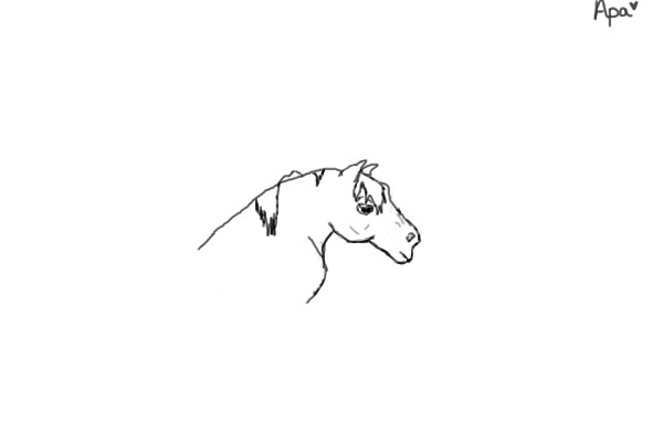 Quick Sketch