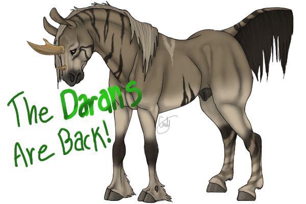 THE DARANS ARE BACK!!!!