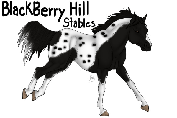 Blackberry Hill Stables