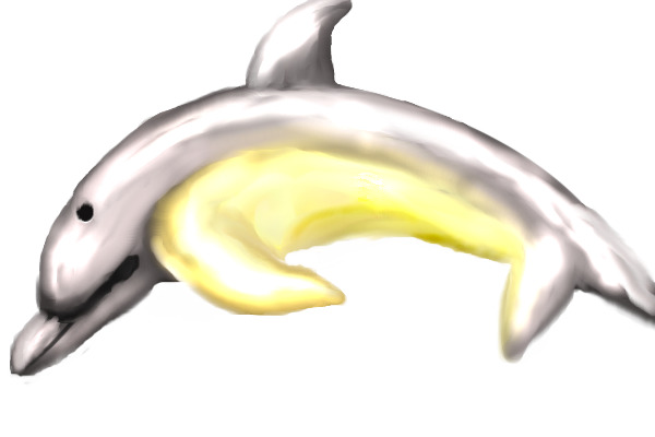 blank background dolphin~