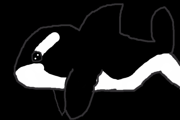 Orca