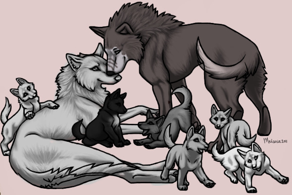 Wolf Family