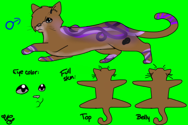 Kiara Kittens-Kitten 1 for pokemonlover4738