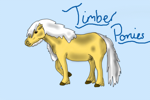 Timber Pony Adopts.