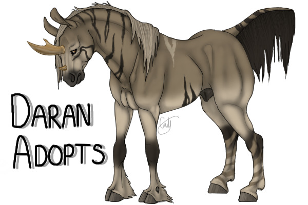 Daran Adoptables