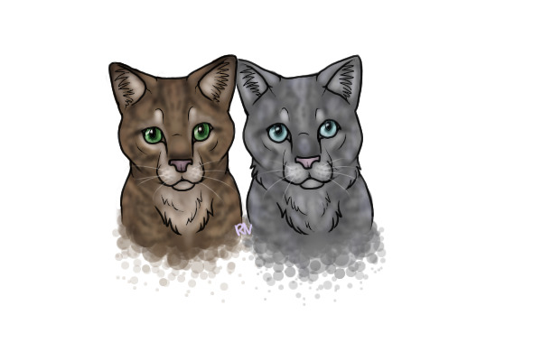 Two Cats
