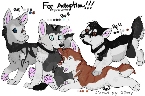 Husky Pups for Adoption!