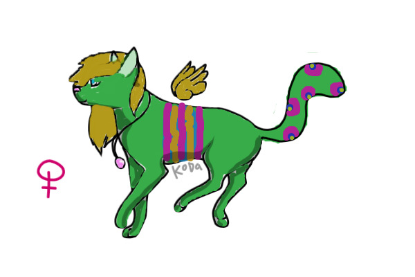 colourful cat