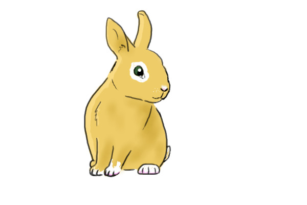 Bunny!!