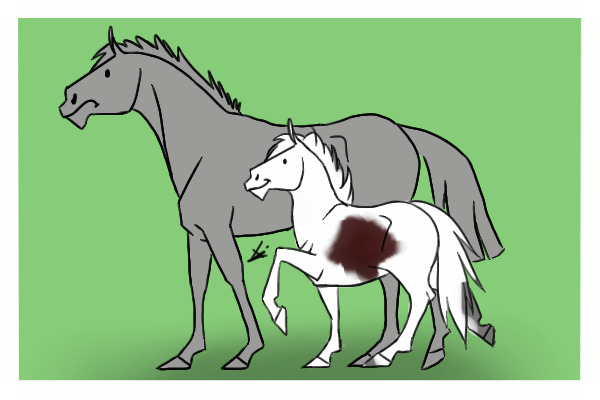 Practice Makes Perfect (practice drawing)
