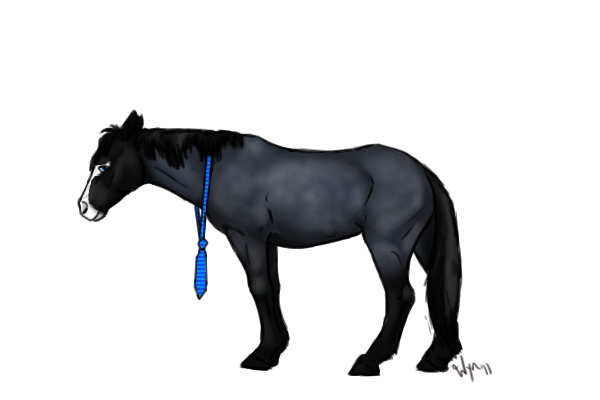 Sharp dressed Blue Roan- lululizzy