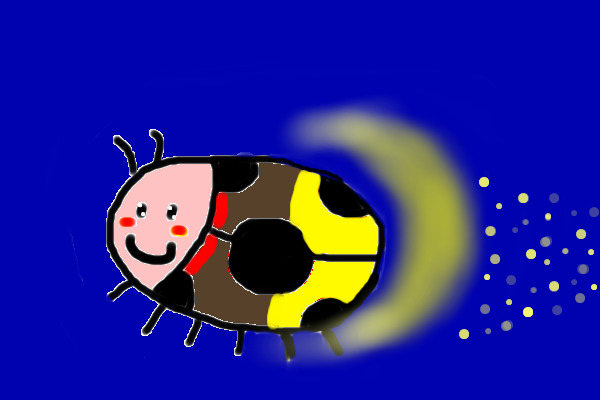 firefly ladybug!