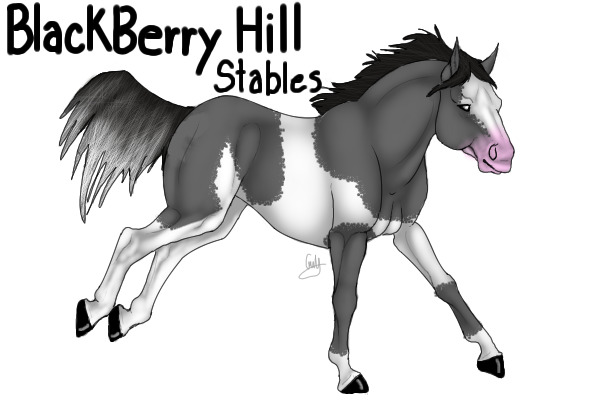 Entry for blackberry hill stables