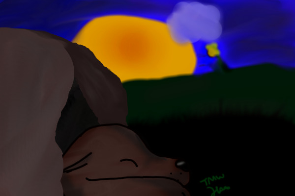 Wolf asleep in cave