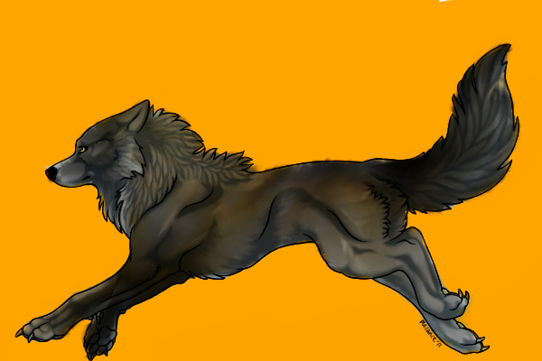 timber wolf (charie?)