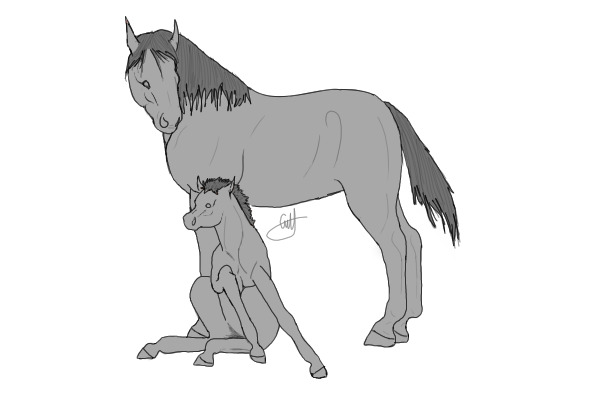 revamp mare & foal