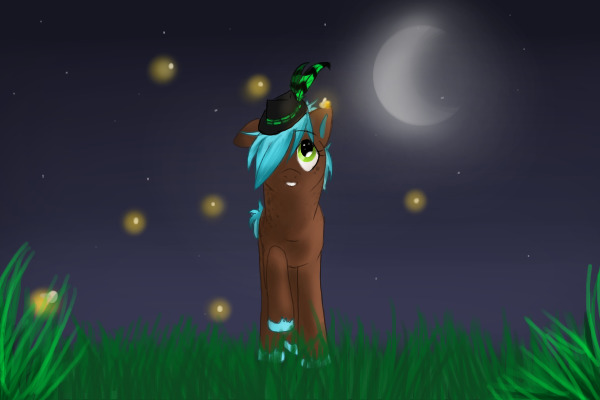 Bluejay loves the night