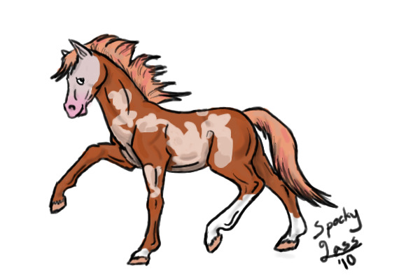 For CS Stable
