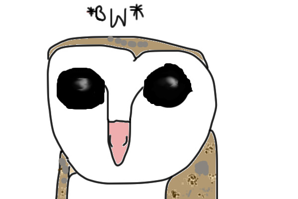 sorren the barn owl aka tito