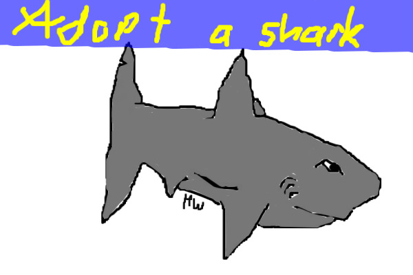 Adopt a shark