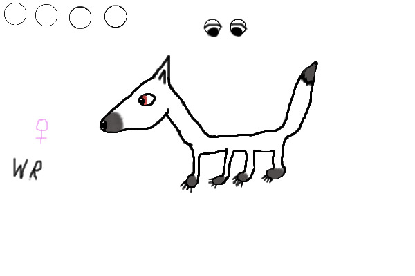 dog-wolf