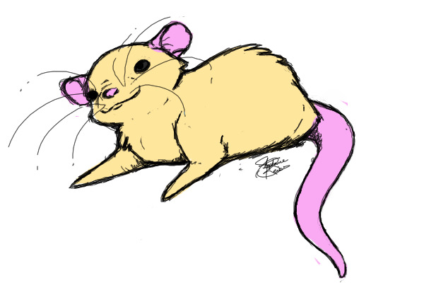 Ches